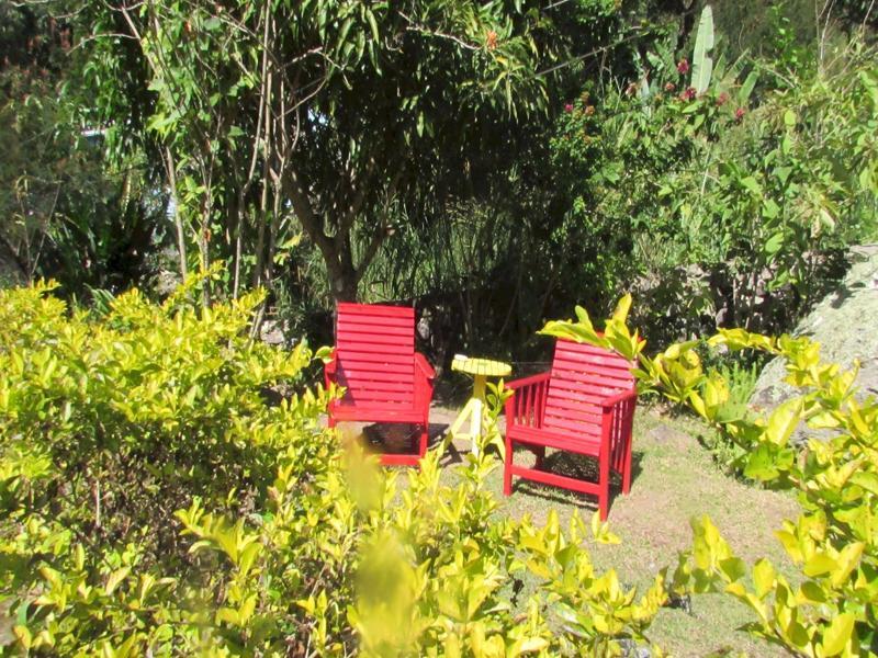 Rafjam Bed & Breakfast Κίνγκστον Εξωτερικό φωτογραφία